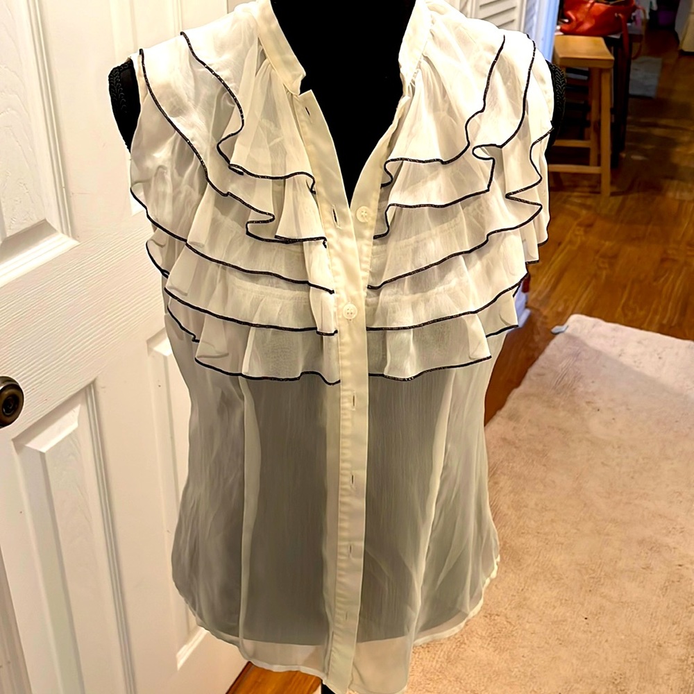 The Limited sheer fitted ruffle front blouse